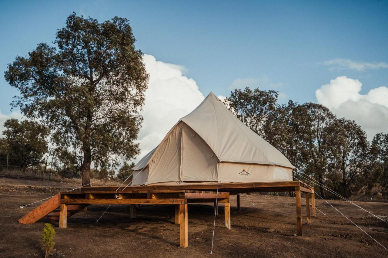 Lago Valle Wine Glamping Valle de Guadalupe Exterior photo