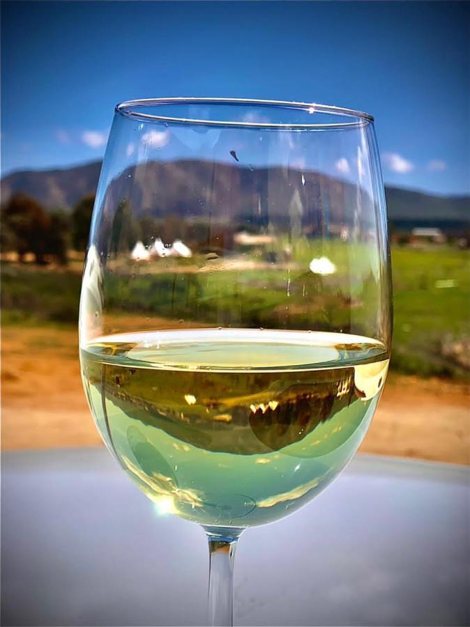Lago Valle Wine Glamping Valle de Guadalupe Exterior photo