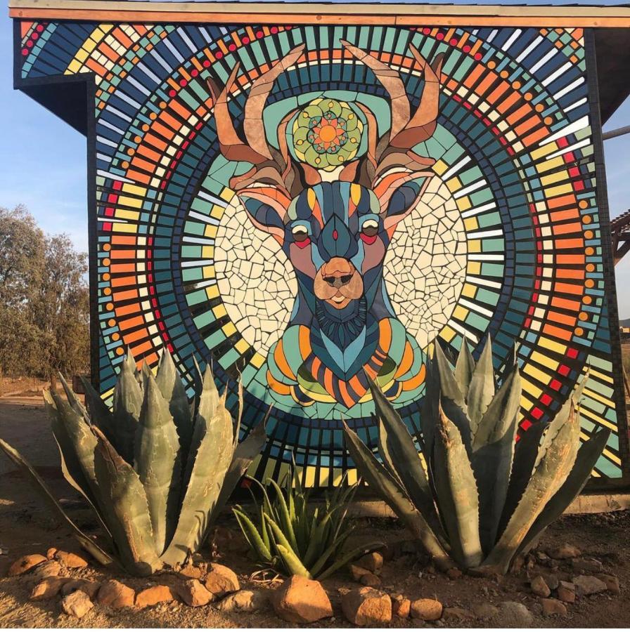 Lago Valle Wine Glamping Valle de Guadalupe Exterior photo