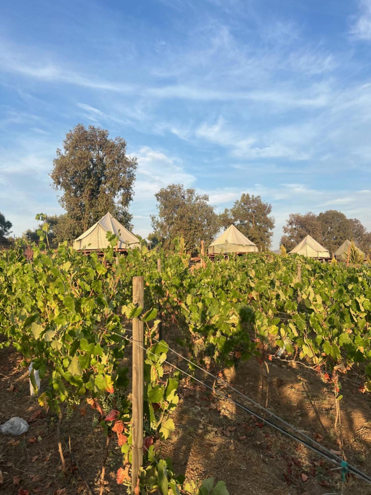 Lago Valle Wine Glamping Valle de Guadalupe Exterior photo